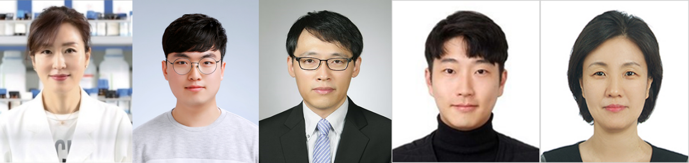 약학대학 이경 교수팀, 프로테아좀 억제제 내성 넘는 UCHL5 타깃 신약 후보 발굴