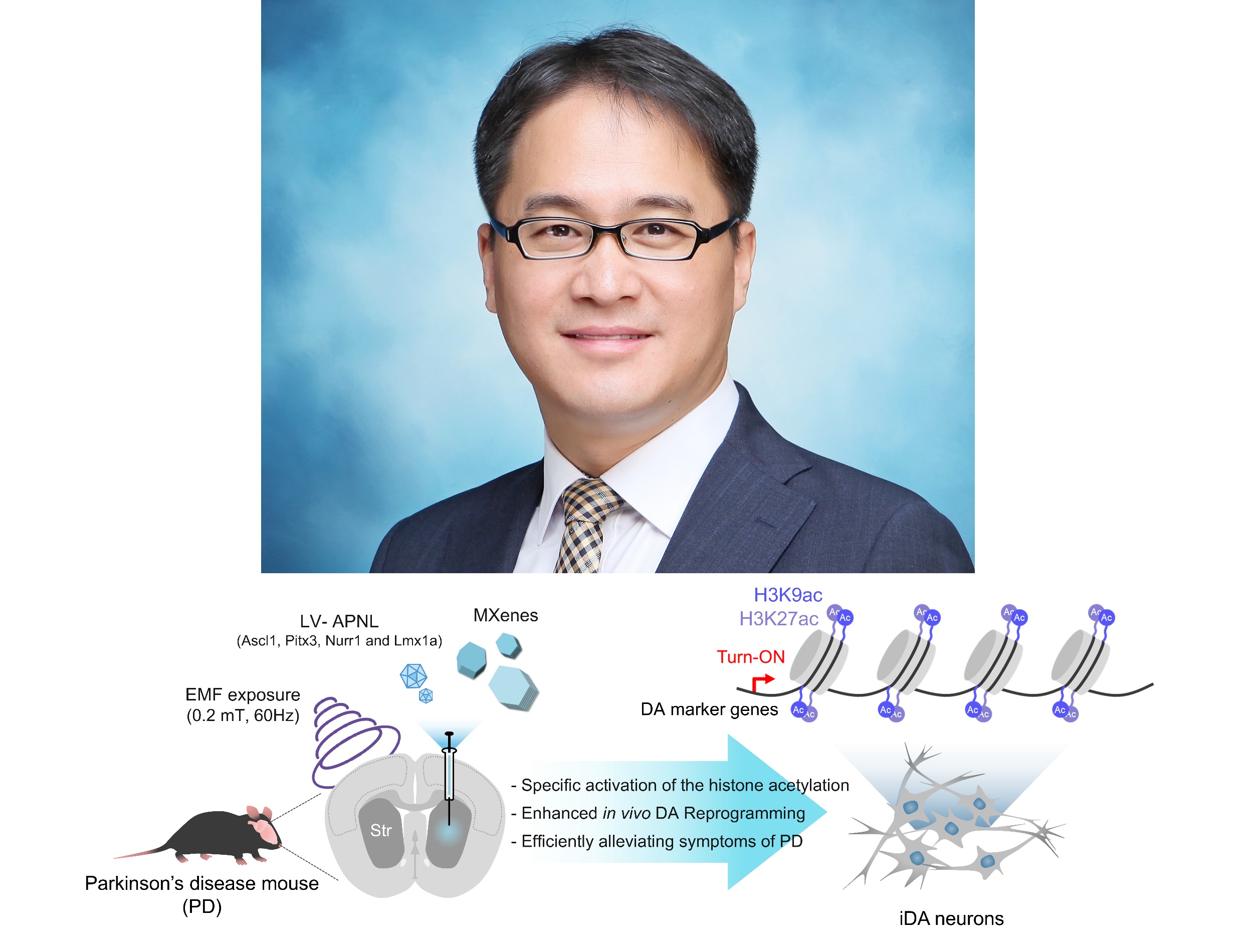 화학과 김종필 교수 연구팀, '꿈의 신소재' 맥신으로 생체 내 세포 직분화 리프로그래밍 완성